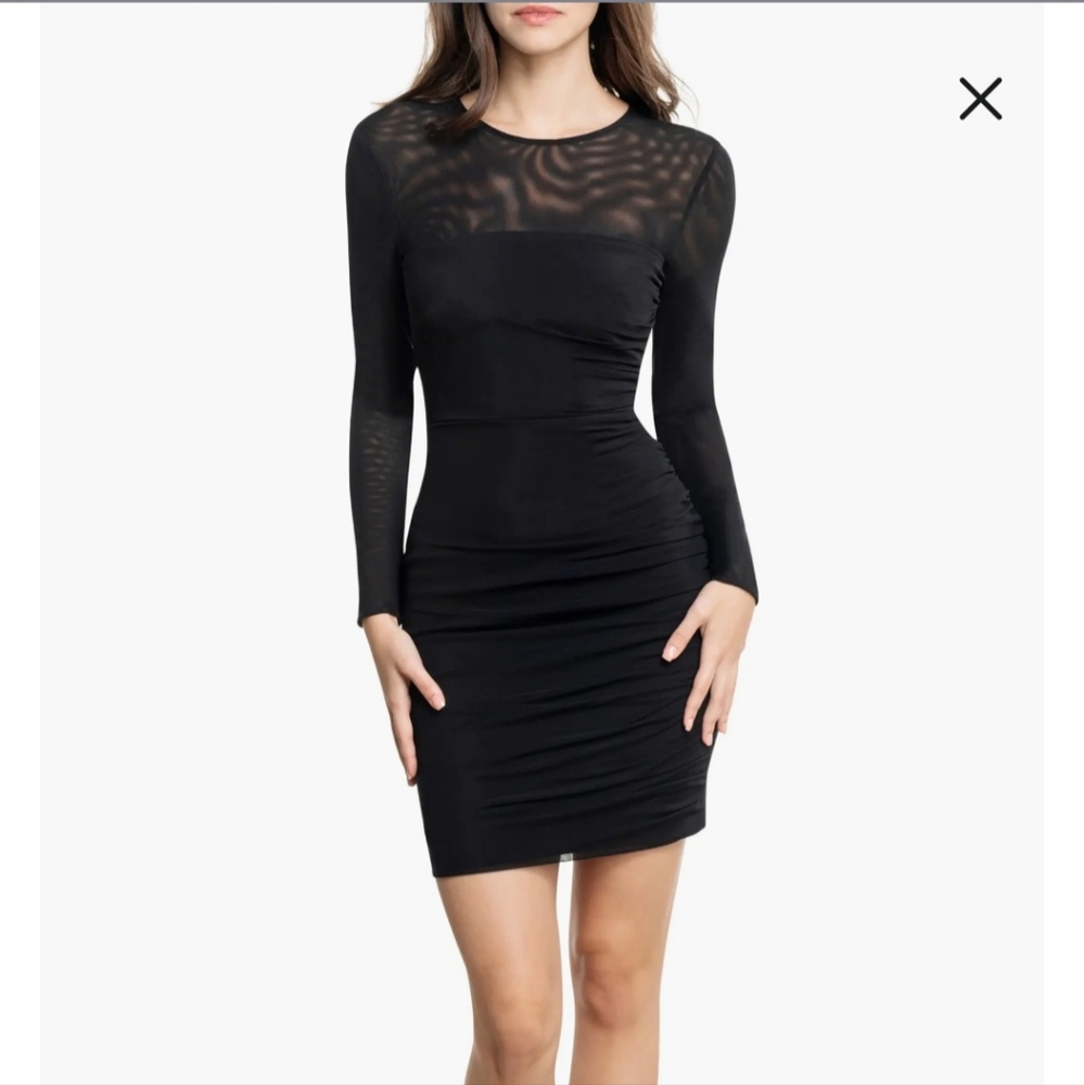 Dress the Population Elegant Black Mesh Long Sleeve Dress